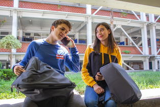 世界青少年攀岩技能大赛在上海盛大举行，众少年展风采，2020年全国青少年攀岩锦标赛