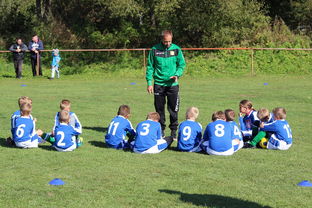 中国篮球教练员战术创新能力培养及培训机制研究，全国篮球教练员岗位培训